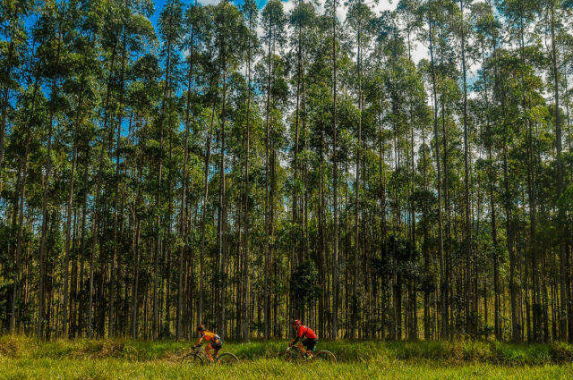 CiMTB em Carandaí tem início nesta sexta (6) com a transmissão ao vivo do Short Track